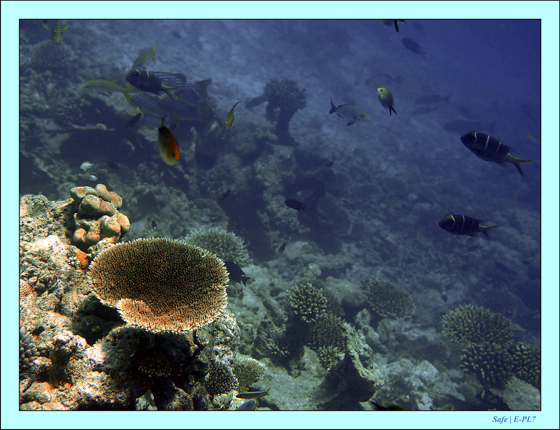 2023 - 07 - Sandies Bathala - 237